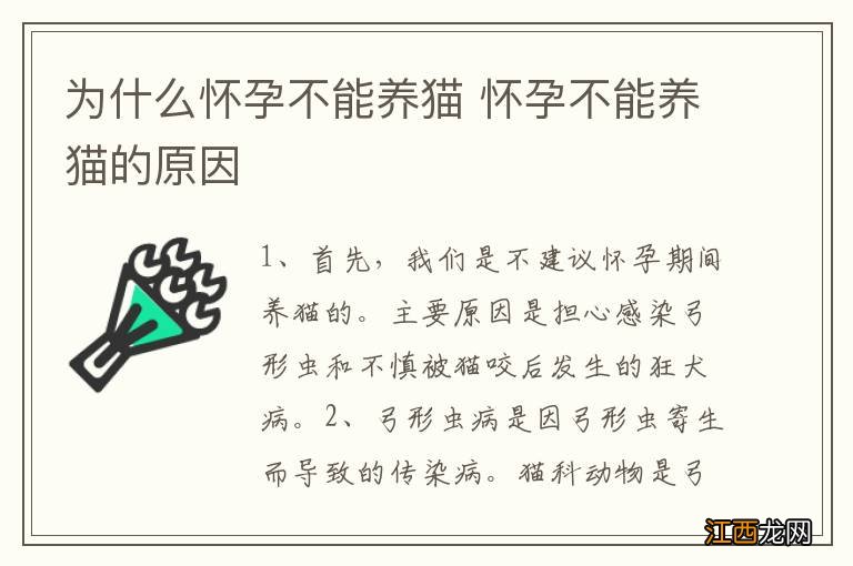 为什么怀孕不能养猫 怀孕不能养猫的原因