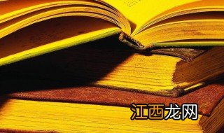 斜杠人生是什么梗 斜杠人生解释