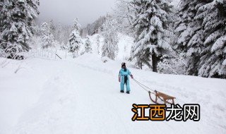 小雪花歌词 小雪花歌曲简介