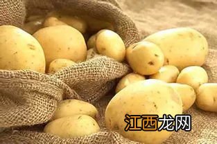 土豆和什么蔬菜不能一起吃吗