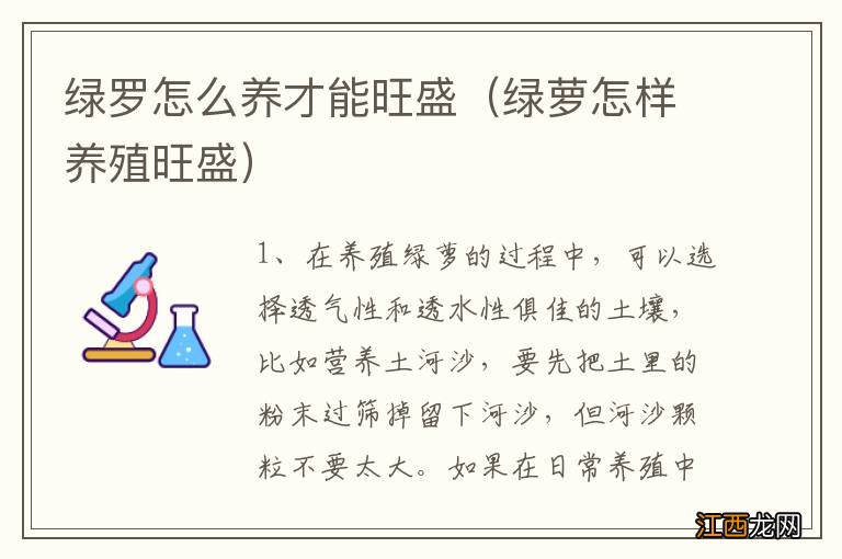 绿萝怎样养殖旺盛 绿罗怎么养才能旺盛