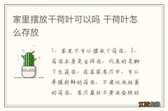 家里摆放干荷叶可以吗 干荷叶怎么存放