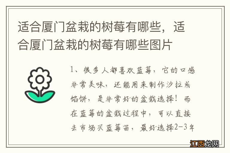 适合厦门盆栽的树莓有哪些，适合厦门盆栽的树莓有哪些图片