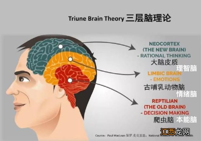 娃非要胡闹的时候,真的别给他讲道理