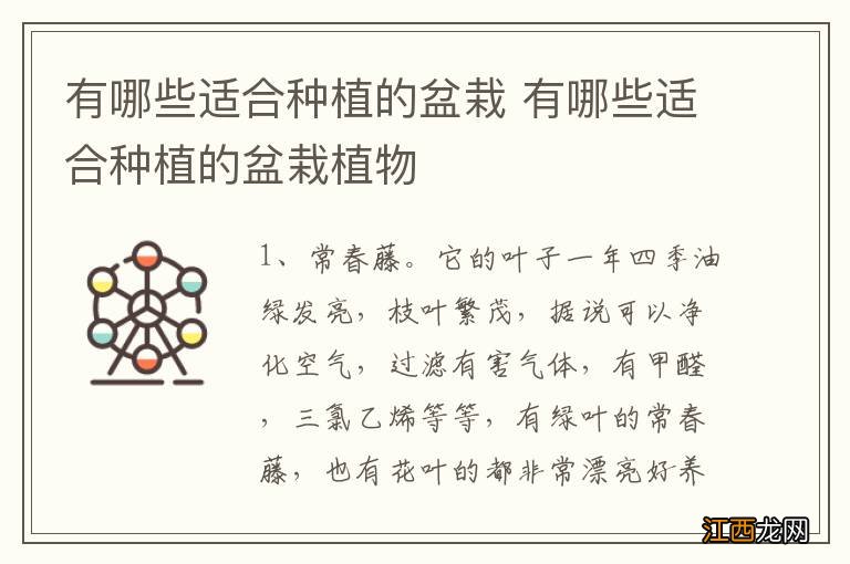 有哪些适合种植的盆栽 有哪些适合种植的盆栽植物