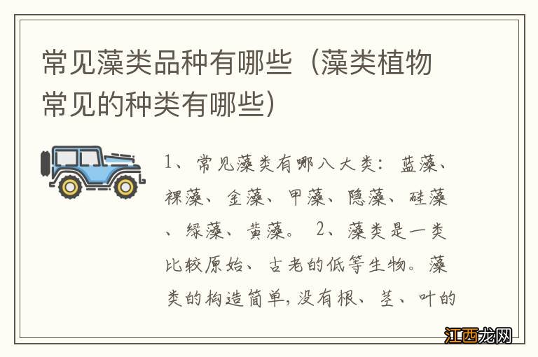 藻类植物常见的种类有哪些 常见藻类品种有哪些