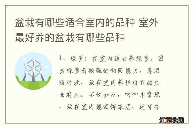 盆栽有哪些适合室内的品种 室外最好养的盆栽有哪些品种