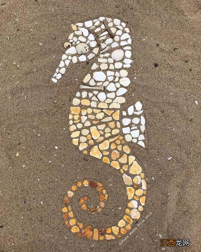 这位艺术家妈妈，将沙滩中的贝壳、塑料、石头等拼贴成一幅幅马赛克艺术品，超有意思！