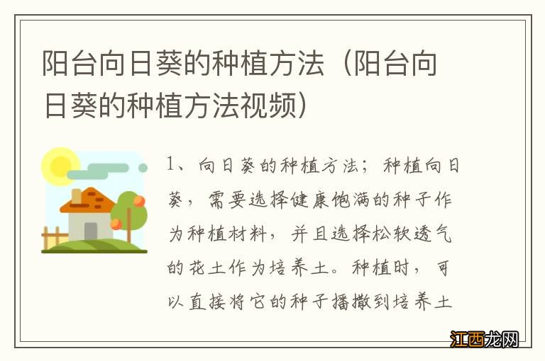 阳台向日葵的种植方法视频 阳台向日葵的种植方法