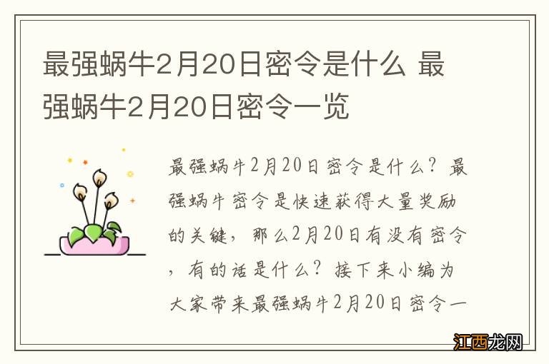 最强蜗牛2月20日密令是什么 最强蜗牛2月20日密令一览