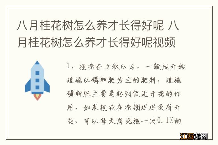 八月桂花树怎么养才长得好呢 八月桂花树怎么养才长得好呢视频