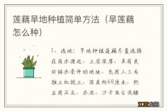 旱莲藕怎么种 莲藕旱地种植简单方法