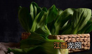 油菜在家里种植方法，油菜在家里种植方法图片