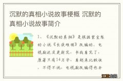 沉默的真相小说故事梗概 沉默的真相小说故事简介