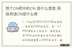 想个CN吧中的CN 是什么意思 网络用语CN是什么梗