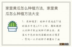 家里黄瓜怎么种植方法，家里黄瓜怎么种植方法大全