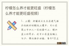 柠檬怎么养才能更旺盛视频 柠檬怎么养才能更旺盛