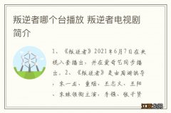 叛逆者哪个台播放 叛逆者电视剧简介