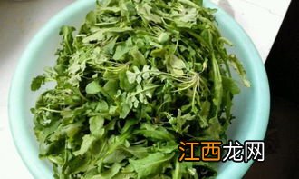 甘草可以和什么菜在一起