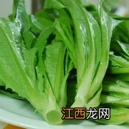 冬瓜和什么菜配