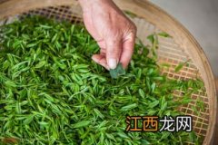 第一年的茶叶卖不掉怎么办