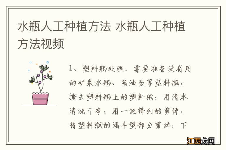 水瓶人工种植方法 水瓶人工种植方法视频