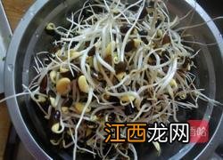 萝卜豆芽炒肉怎么做