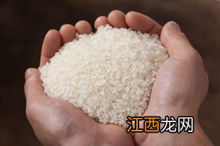 籼米做什么好吃