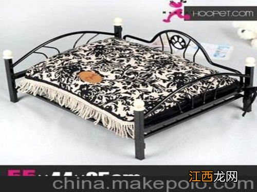 狗窝里铺什么东西防潮 狗窝防潮讲解