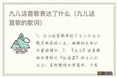 九儿这首歌的歌词 九儿这首歌表达了什么