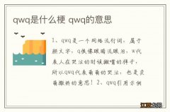 qwq是什么梗 qwq的意思