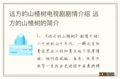 远方的山楂树电视剧剧情介绍 远方的山楂树的简介