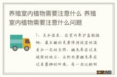 养殖室内植物需要注意什么 养殖室内植物需要注意什么问题