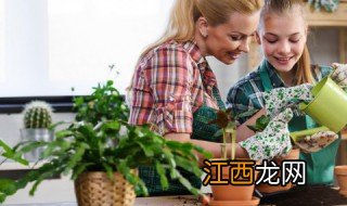 养殖室内植物需要注意什么 养殖室内植物需要注意什么问题