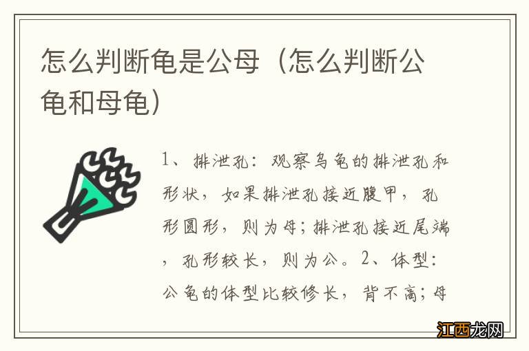 怎么判断公龟和母龟 怎么判断龟是公母