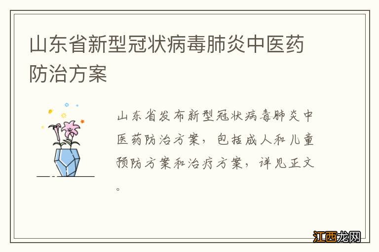 山东省新型冠状病毒肺炎中医药防治方案