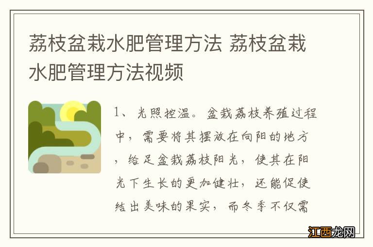 荔枝盆栽水肥管理方法 荔枝盆栽水肥管理方法视频