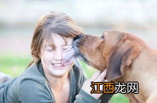 狗狗舌头有倒刺吗 怎么样才会舔人