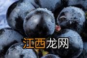 胡麻油是什么油 胡麻油的正确食用方法