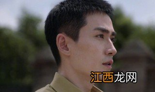 叛逆电视剧男女主角是谁 电视剧叛逆者介绍