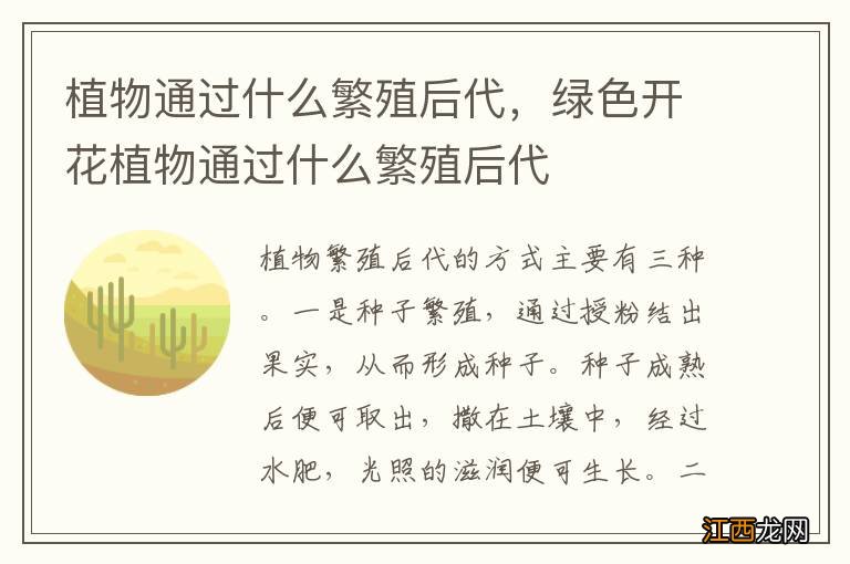 植物通过什么繁殖后代,绿色开花植物通过什么繁殖后代
