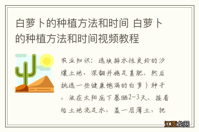 白萝卜的种植方法和时间 白萝卜的种植方法和时间视频教程