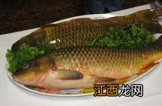 鲤鱼带鱼鳞怎么做好吃