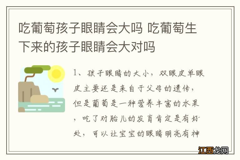 吃葡萄孩子眼睛会大吗 吃葡萄生下来的孩子眼睛会大对吗