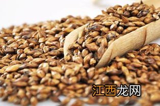 怎么选购大麦茶