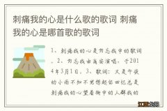 刺痛我的心是什么歌的歌词 刺痛我的心是哪首歌的歌词