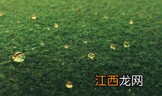 我听见雨滴落在青青草地是什么梗 我听见雨滴落在青青草地的解释