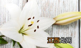 卧室内不适合养哪些花草树木 卧室内不适合养哪些花草