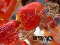 吃完黄瓜多久能吃山楂