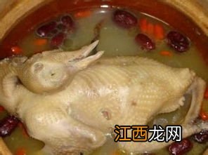 虫草炖鸽子炖多久